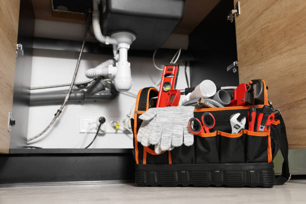 Best Plumbing Inspection Services  in Haleiwa, HI